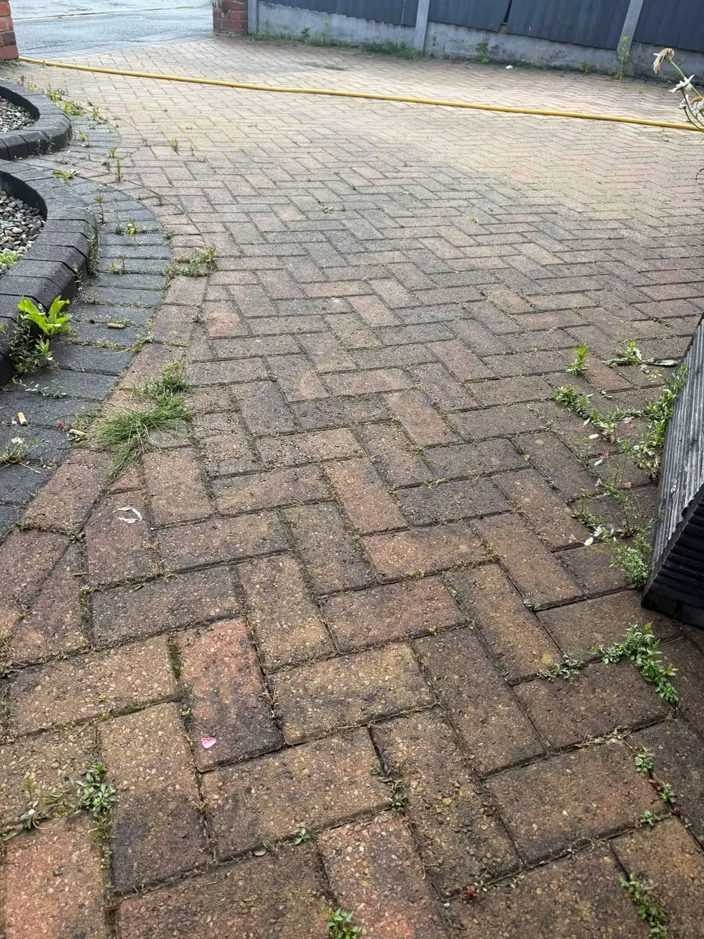 Weedy block driveway with charcoal border before cleaning