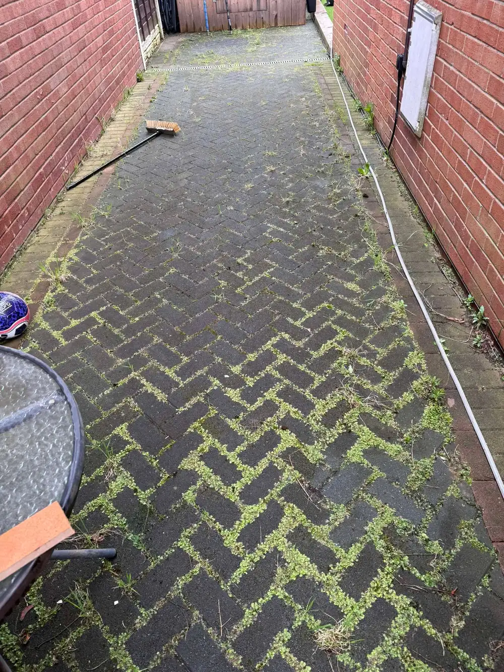 Mossy, weed-covered block paved ginnel before cleaning
