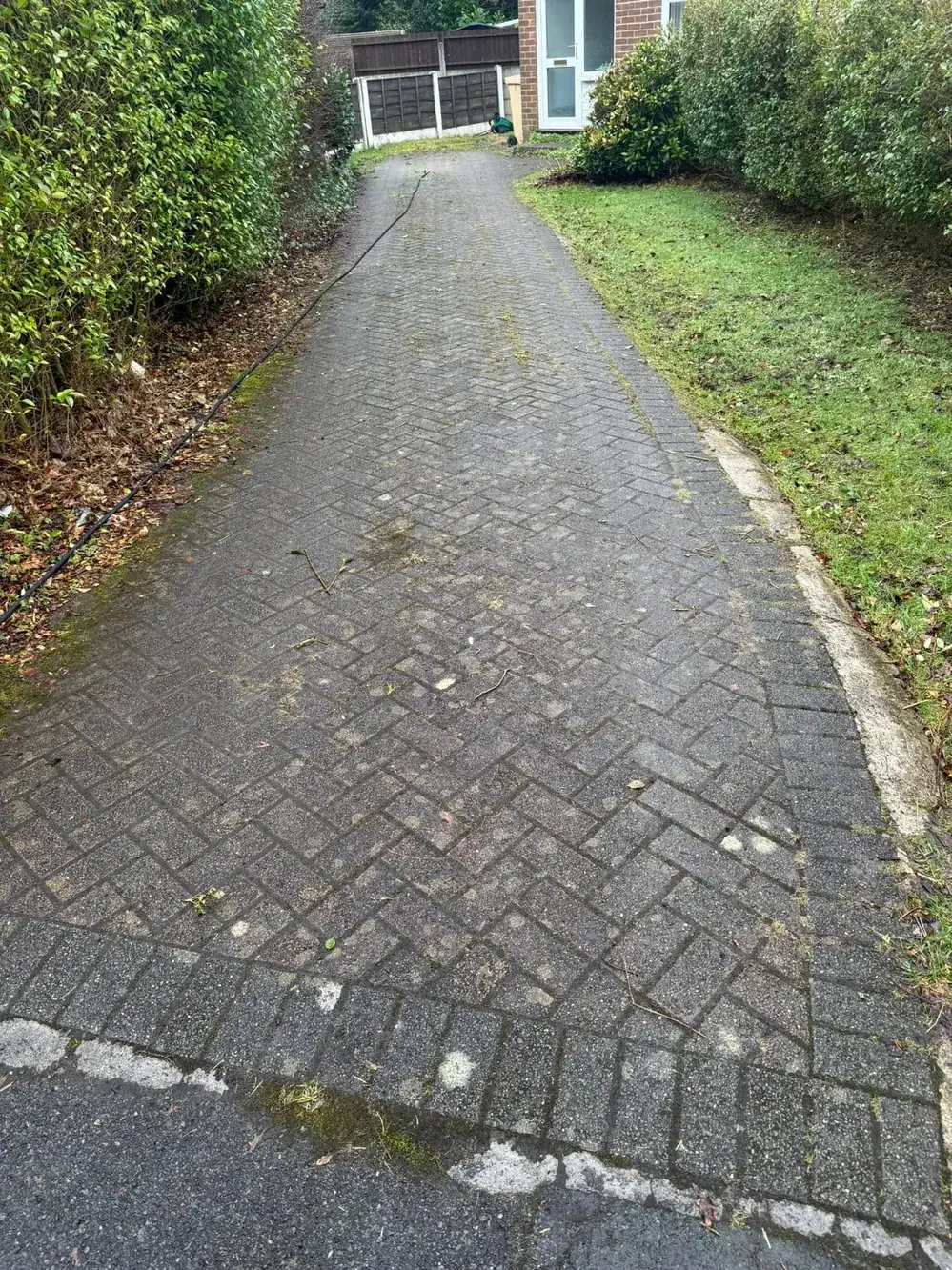 Dark, algae-covered block paving path before cleaning
