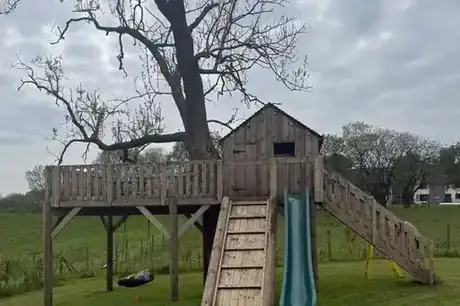 Fence cleaning