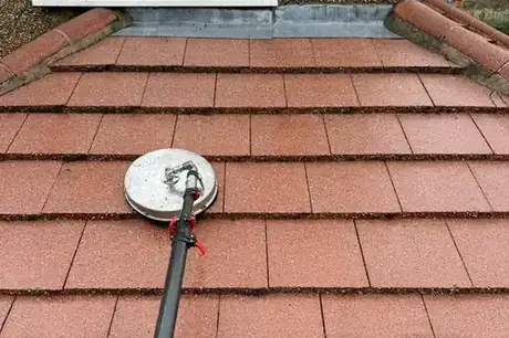 Roof cleaning