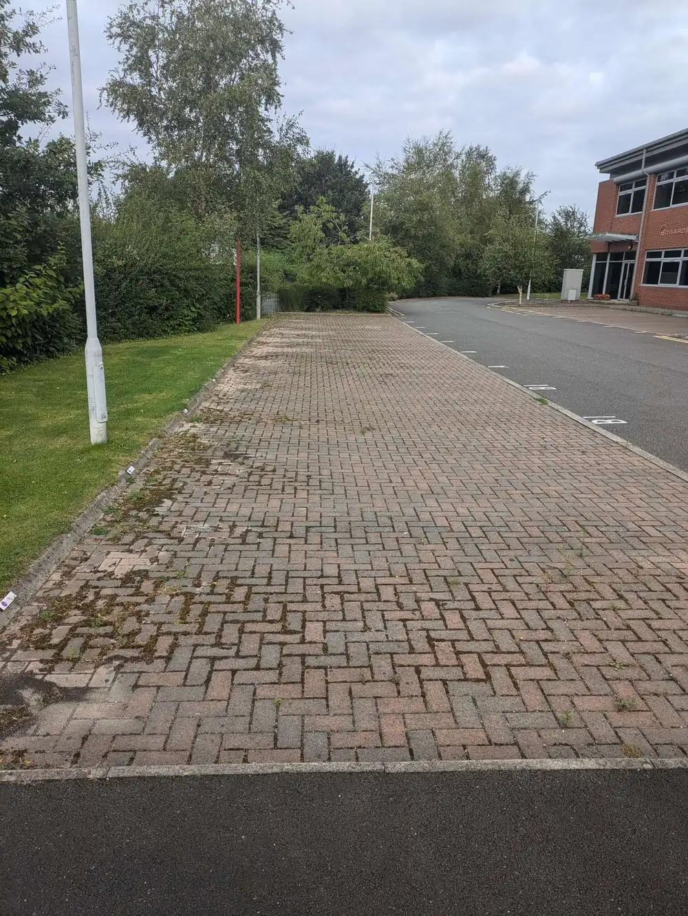 Mossy business park block paving before cleaning