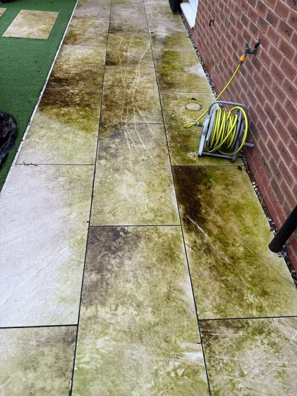 Green, algae-covered porcelain path before cleaning