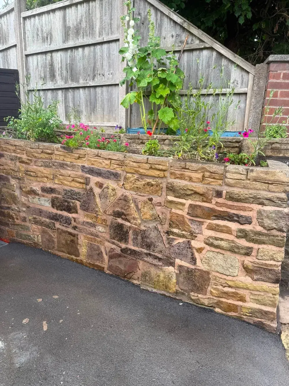 The same garden wall after soft washing, warm stone colour back